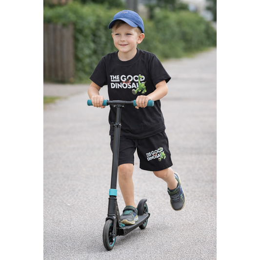 Dinosaur t shirt and shorts size 6